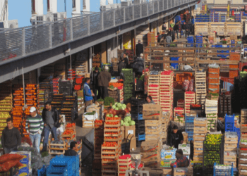 2025 yılında İstanbul’a en çok mandalina ve domates geldi