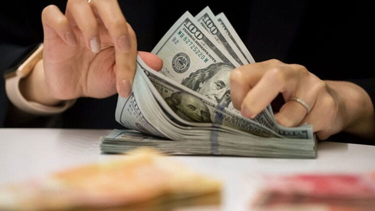 Firmaların net döviz açığı 186 milyar doları aştı
